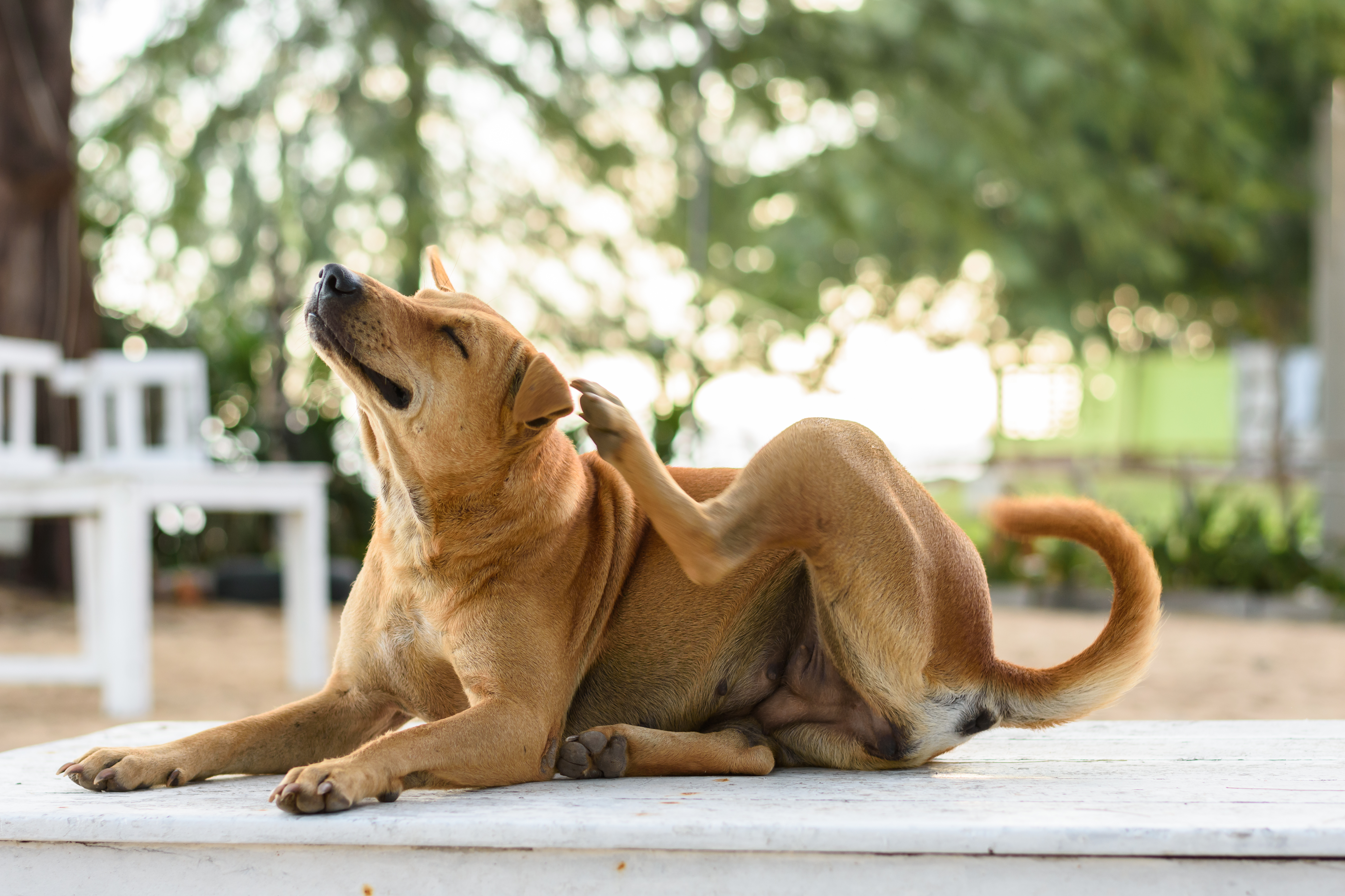 AdobeStock_316389525 AdobeStock_316389525